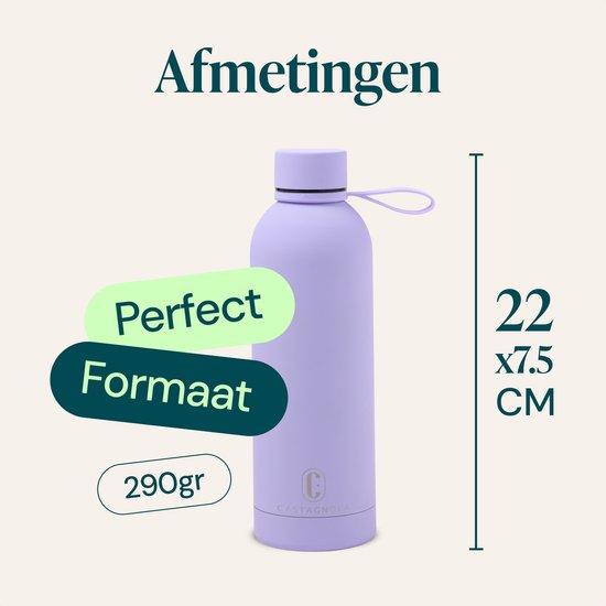 Castagnola Waterfles - RVS Drinkfles 500 ML - Stalen Thermosfles - Drinkflessen voor Volwassenen - Dubbelwandig - Paars