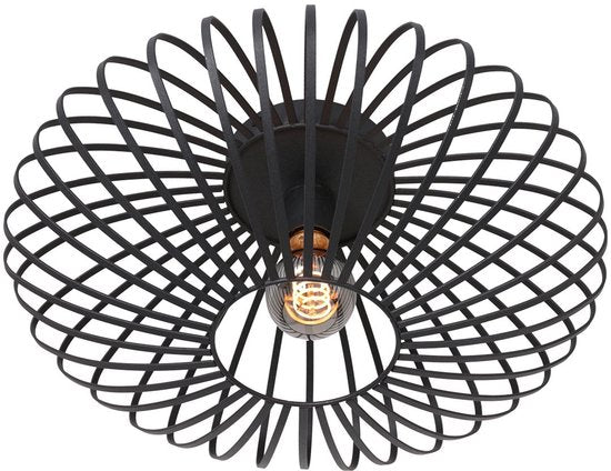 Steinhauer Dunbar AN plafondlamp 1-lichts 40cm