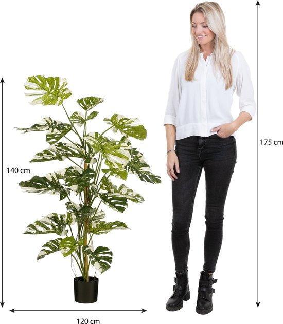 Mica Decorations Monsteraboom Kunstplant - H140 x Ø120 cm - Groen
