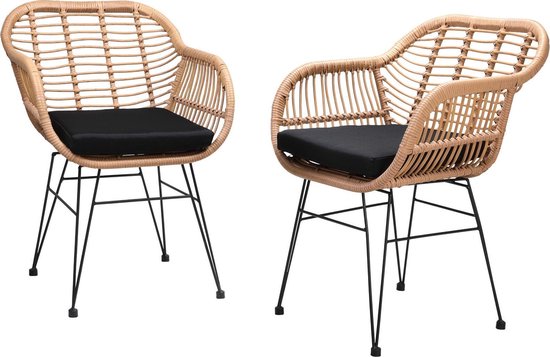 Casaria Poly Rieten Stoelen – 2 Stuks – Naturel – Comfortabel - Weerbestendig