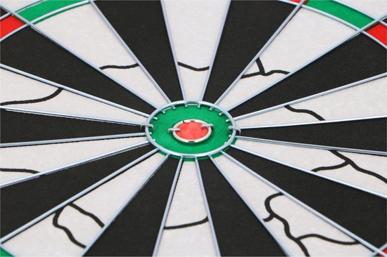 Lifetime Dartbord Deluxe met Pijlen 45cm