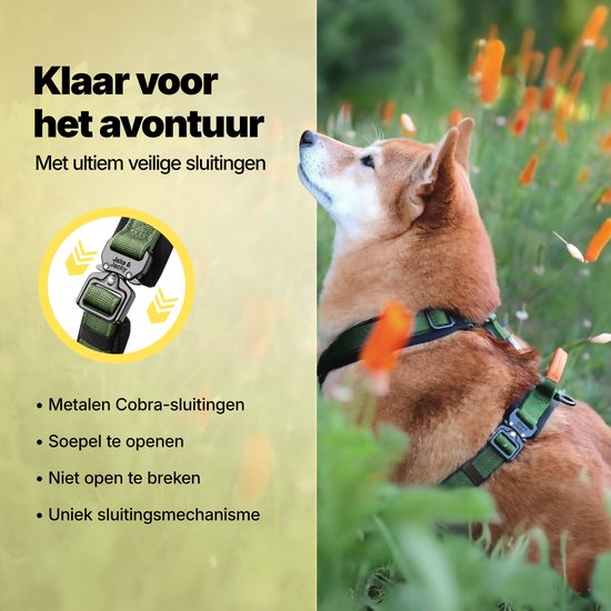 Jake and Jacky Hondentuigje Kleine Hond - Anti-Trek Tuig - Kattentuigje - Y Tuig Hond - Hondenharnas Kleine Hondjes - Kattenharnas - Groen - Maat XS
