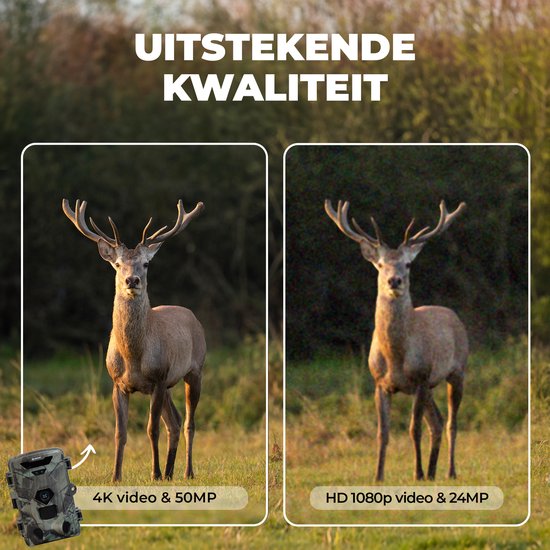 Denver Wildcamera met Nachtzicht - 4K Ultra HD - 50MP - LCD Scherm - Waterdicht - WCT8016