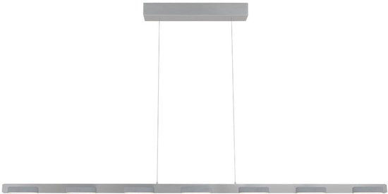 Hanglamp Bloc 3297ST Staal 171 cm Hoogteinstelbaar met Kabel Lift Steinhauer, Modern Design, Dimbaar met Externe Dimmer