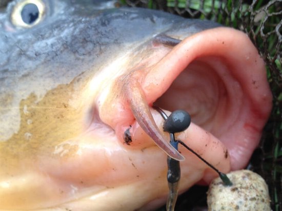 PB Products - Downforce Tungsten - Shot On The Hook Kralen - 0,2 gram