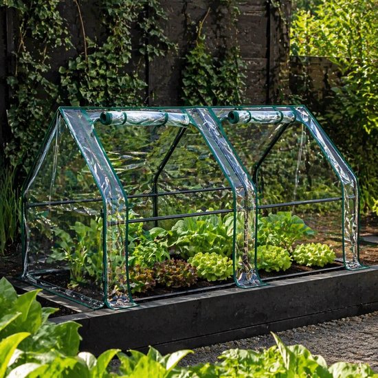 Ceruzo Kweekkas 180 cm – Foliekas – 2 Deuren – Broeikas – Tuin- 180 x 90 x90cm
