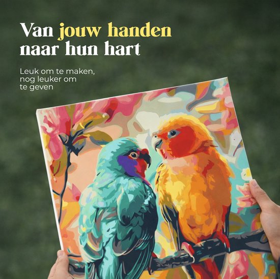 Rubye® Schilderen op Nummer - Papegaaien voor volwassenen en kinderen - 40x50cm