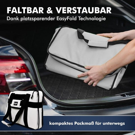 Five Dots Opvouwbare Koeltas - 30L - 26 x 41 x 31 cm - Grijs