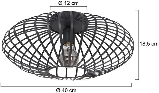 Steinhauer Dunbar AN plafondlamp 1-lichts 40cm