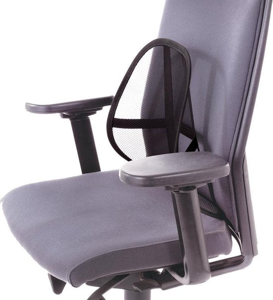 Lifetime Ergonomische Ruggensteun 39x39 cm Zwart – Optimale Ondersteuning voor Rug en Ondersteuning tijdens Lang Zitten