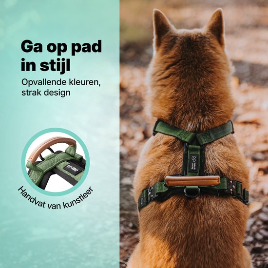 Jake and Jacky Hondentuigje Kleine Hond - Anti-Trek Tuig - Kattentuigje - Y Tuig Hond - Hondenharnas Kleine Hondjes - Kattenharnas - Groen - Maat XS