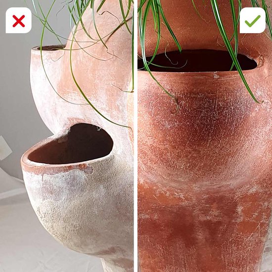 Mediashop Freshmo Set | Eco-verfrisser voor hout, steen en kunststof | Ecologisch schoonmaakmiddel