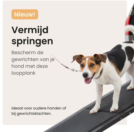 Hondenloopplank voor Auto - Hondentrap Inklapbaar - Met Antislip - 160 cm