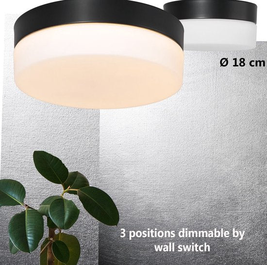 Plafondlamp Ikaro 1362ZW Zwart Ø18cm - Modern, Elektronica & Glas, Steinhauer