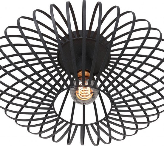 Steinhauer Dunbar AN plafondlamp 1-lichts 40cm