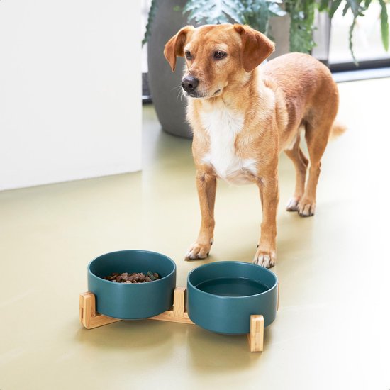Voerbak Hond - Drinkbak - Met Bamboe Standaard - 2x 800 ml - Maat M - Groen Mat