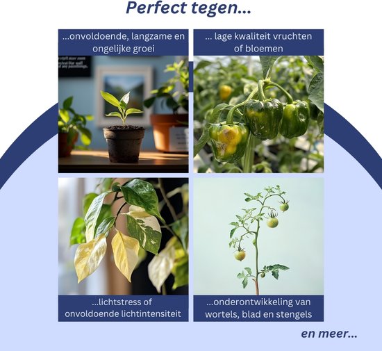 a sunny day LED groeilamp - kweeklamp - full spectrum - groei & bloei - grow light - groeilamp full spectrum - 45 Watt - 30 x 30 cm - 225 LEDs