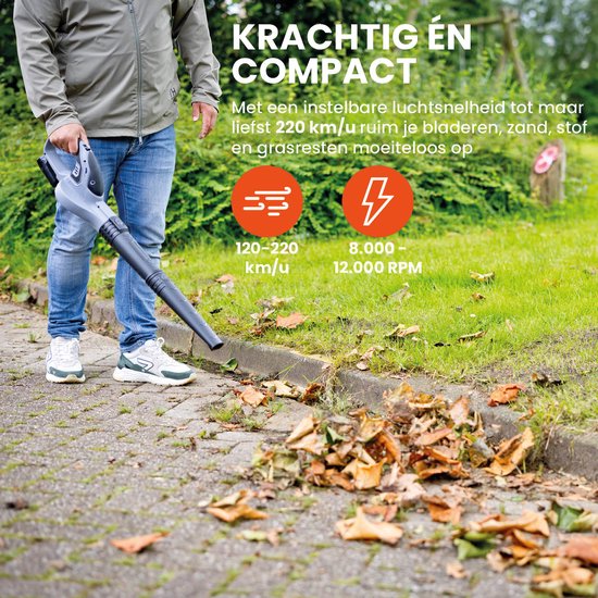 QLT Accu Bladblazer met Lader – Lichtgewicht en Krachtig Tuingereedschap voor Bladeren, Stof en Grasresten – 12V