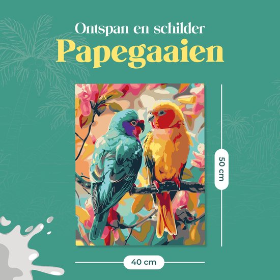 Rubye® Schilderen op Nummer - Papegaaien voor volwassenen en kinderen - 40x50cm