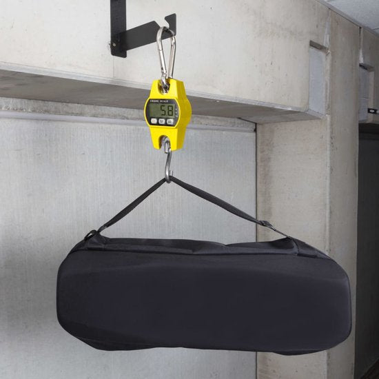 Perel Kraanweegschaal, digitaal, 300 g tot 300 kg, automatische uitschakeling, data-hold- functie, tarrafunctie, lcd-scherm