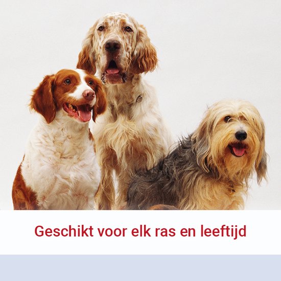Pharmox Hond & Kat Glucosamine 1000 ml - Belangrijke bouwsteen voor honden en katten