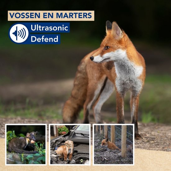 Edialux Ultrasonic Defend Vossen & Marters Flash, ultrasone vossen- en marterverjager met flits, bescherm je tuin veilig en effectief, werkt op batterijen of met adapter, max. 200 m²