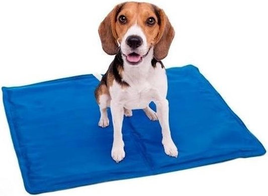 Koelmat Voor Honden - 65x50 cm - Blauw