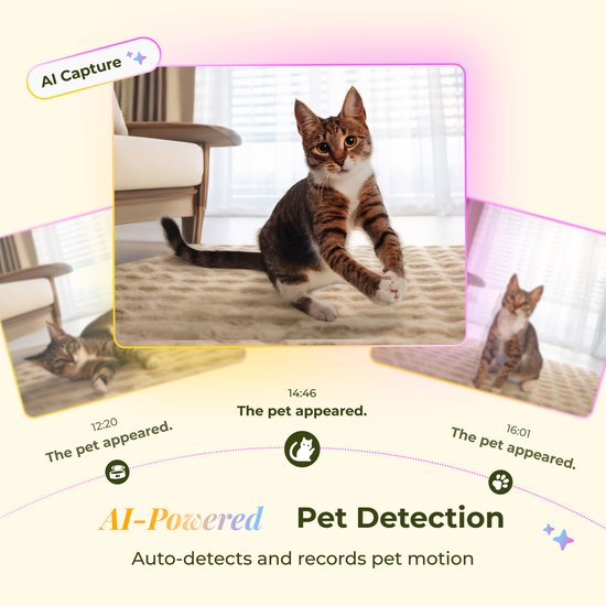 Arenti Petfeeder2 Automatische Voerbak 4L Met Beweegbare Camera - 3L Fontein - Kat & Hond – Slimme Voerdispenser met Camera – 3MP (2K) Met Night Vision – Two-Way Audio – Voerautomaat met App – Dual band Wifi – Voor Katten & Honden – Gratis App