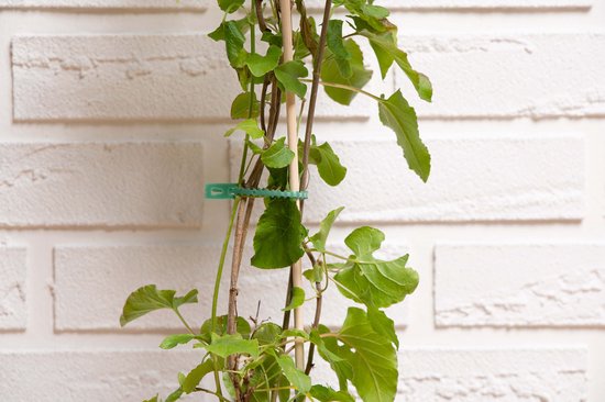 BLACK+DECKER Plantenbinders -100 Stuks Plantenklemmen - Verstelbare Plantenclips - Kunststof - Groen
