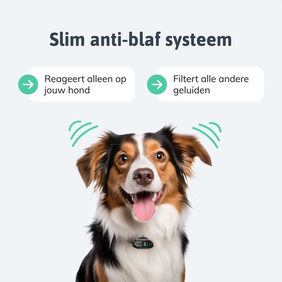 Dutchwide Anti-blafband Pro - 100% waterdicht - Trainingshalsband voor honden - Met anti blaf apparaat - Geschikt voor kleine en grote honden - Hondentraining hulpmiddel