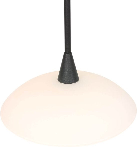 Hanglamp Tallerken 2654ZW Zwart - Modern, Hoogte Verstelbaar, Materiaal: Glas en Metaal, Binnen, Steinhauer