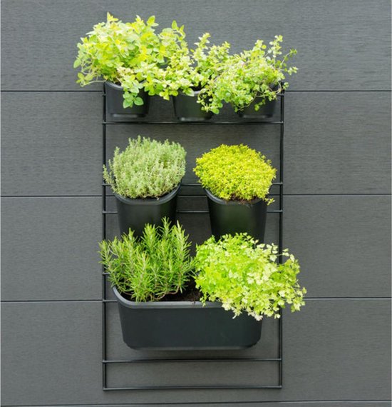 Nature - Verticaal Tuinieren met metalen frame - H84 x 48cm - complete set