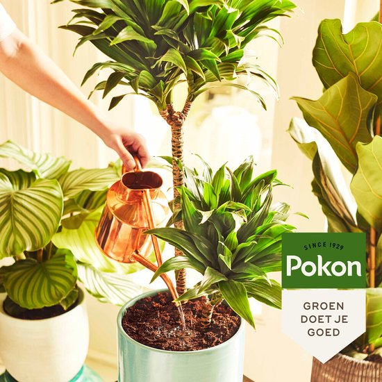 Pokon Kamerplanten Potgrond - 10l - Potgrond (kamerplant) - 6 maanden voeding