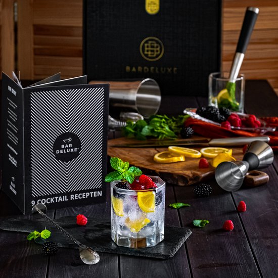 BarDeluxe® Cocktail Shaker Set - 5-Delig Boston Shaker - Cocktail Set met Stamper, Zeef, Barlepel & Receptenboek - Inclusief Luxe Geschenkdoos - Zilver