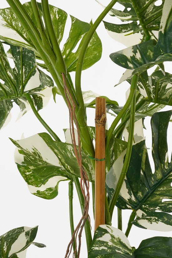 Mica Decorations Monsteraboom Kunstplant - H140 x Ø120 cm - Groen