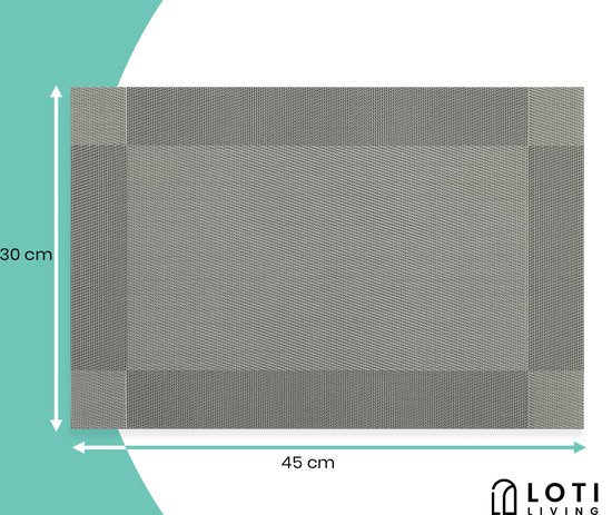 Loti Living Placemats 4 Stuks – Placemats Kunststof – Placemats Plastic - Onderlegger -30x45cm – Metallic grijs