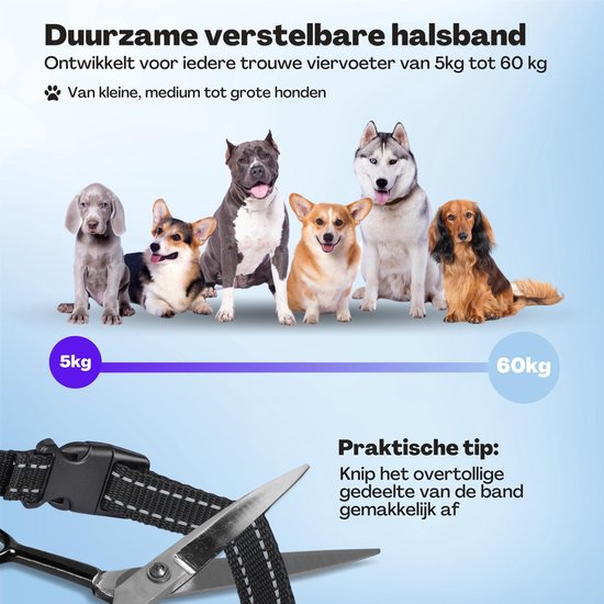Anti Blafband Pro - Opvoedingshalsband Zonder Schok - voor Kleine en Grote Honden - Waterdicht - Oplaadbaar - Vibratie en Audio - 2 Extra Halsbanden