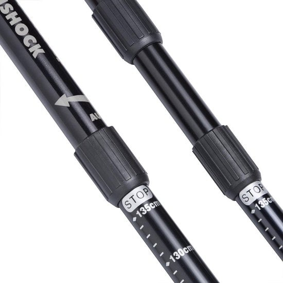 Sportana Sportana Nordic Walking stokken - grijs