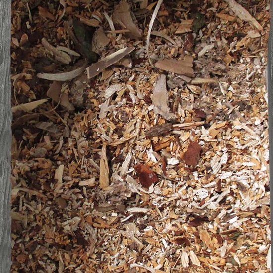 Gardebruk – Stille Hakselaar Versnipperaar – 3100 W – Voorzien Van Stalen Roller En 2 Opvangzakken Van 60 Liter En Omkeerfunctie – Voor Takken Tot 44 mm – Zwart En Groen Metaal En Kunststof