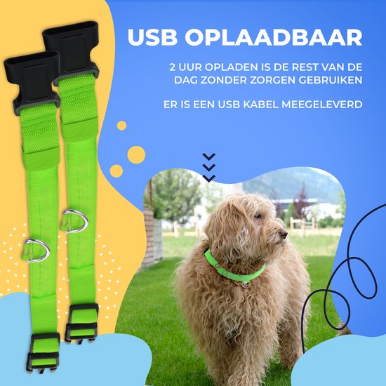 Dutchwide Lichtgevende Halsband Hond - Extra Sterk - L 41 cm tot 52 cm - Hondenhalsband - Klikhalsband - Verstelbaar - Reflecterend