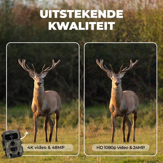 Denver Wildcamera met Nachtzicht en WiFi - 4K Ultra HD - 48MP - WiFi - TrailCam GO app - LCD Scherm - Waterdicht - WCT8026