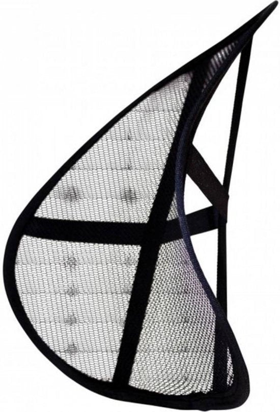 Lifetime Ergonomische Ruggensteun 39x39 cm Zwart – Optimale Ondersteuning voor Rug en Ondersteuning tijdens Lang Zitten