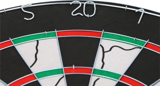 Lifetime Dartbord Deluxe met Pijlen 45cm