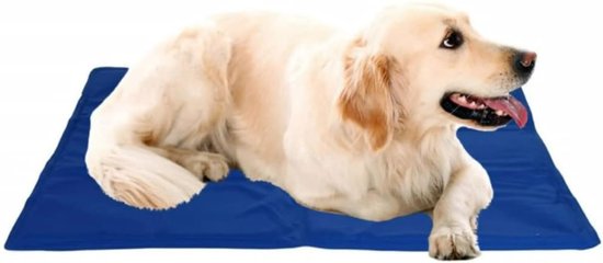 Koelmat Voor Honden - 65x50 cm - Blauw