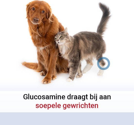 Pharmox Hond & Kat Glucosamine 1000 ml - Belangrijke bouwsteen voor honden en katten