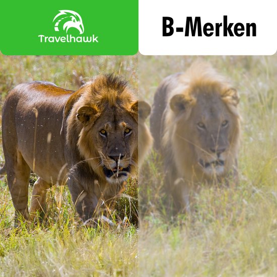 Travelhawk Verrekijker - 20x50 - BAK4 - Full Multi-Coated (FMC) - Compacte verrekijker - Waterdicht - Met nekkoord, draagtas - voor vogels kijken, jagen, theater - Zwart