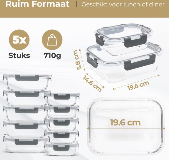 Stosh Meal prep bakjes - Vershoudbakjes - Diepvriesbakjes - 10 Stuks - 5x1050ML & 5x350ML - BPA vrij - Glas