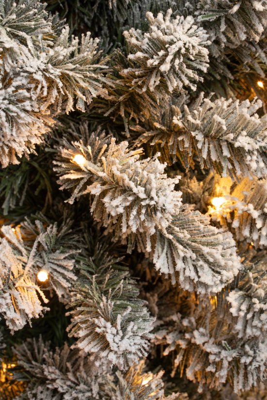 Black Box Trees Charlton Smalle Kunstkerstboom met Warm Witte LED Verlichting - H215 x Ø56 cm - Groen Frosted