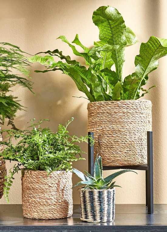 Mica Decorations Ascot Plantenstandaard XL - L38 x B38 x H40cm - Metaal - Zwart