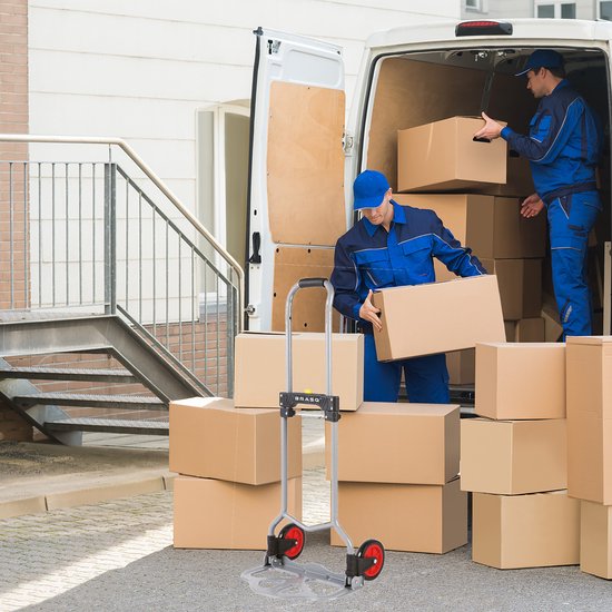 BRASQ Inklapbare steekwagen incl. bagagespin - 60 KG Draagvermogen - Transportwagen - Plateauwagen - Steekkar Staal